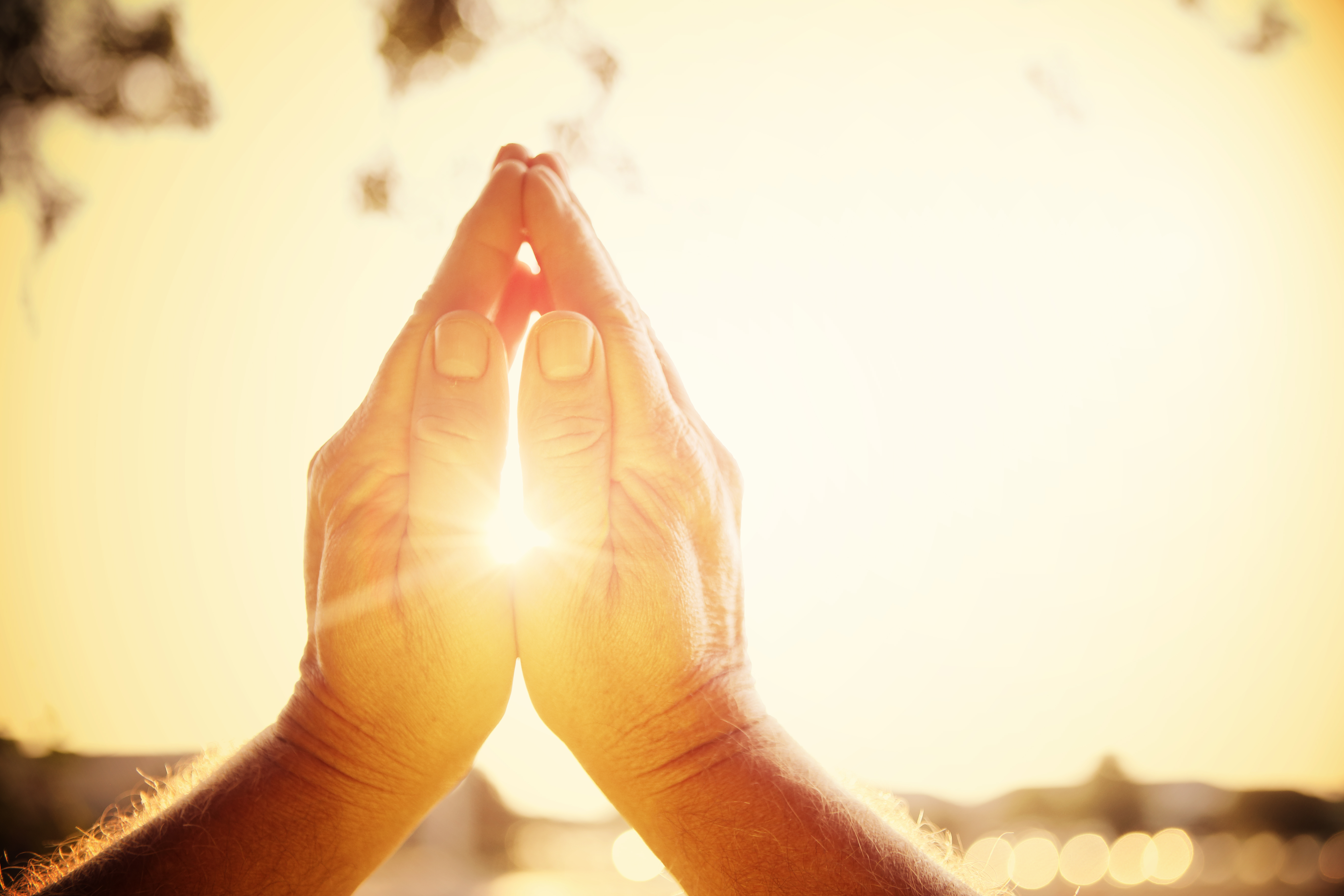 Morning Prayer