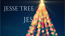 Jesse Tree 27 - Jesus