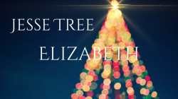 Jesse Tree 24 - Elizabeth
