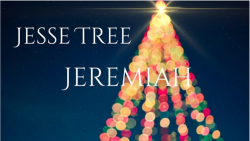 Jesse Tree 20 - Jeremiah