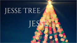 Jesse Tree 14 - Jesse