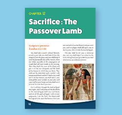 Grade 8, Chapter 12