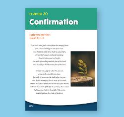 Grade 8, Chapter 20